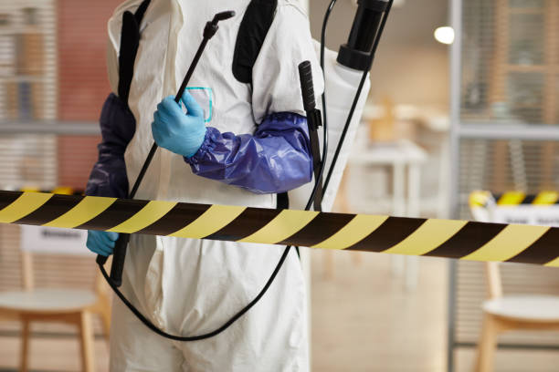Professional Sewage Cleanup technician working in Rosenberg, TX